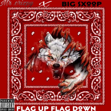 Flag Up Flag Down ft. Big Sxoop | Boomplay Music