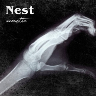 Nest (Acoustic Version)
