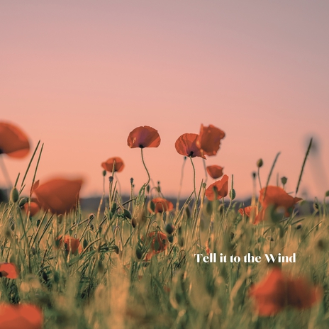 Tell It to the Wind | Boomplay Music