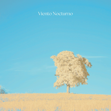 Viento Nocturno | Boomplay Music