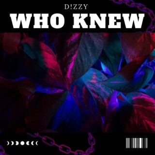 Who Knew lyrics | Boomplay Music