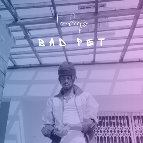 Bad Pet | Boomplay Music