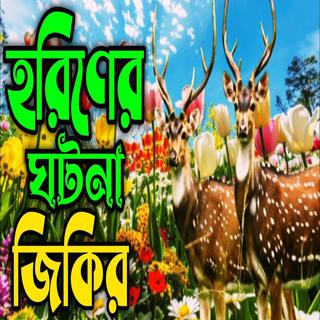 হরিণের ঘটনা জিকির ll দয়াল নবীর সাথে কি হয়েছিল করিনি জিকির ll কলিজা ঠান্ডা করা জিকির ll জিকির..