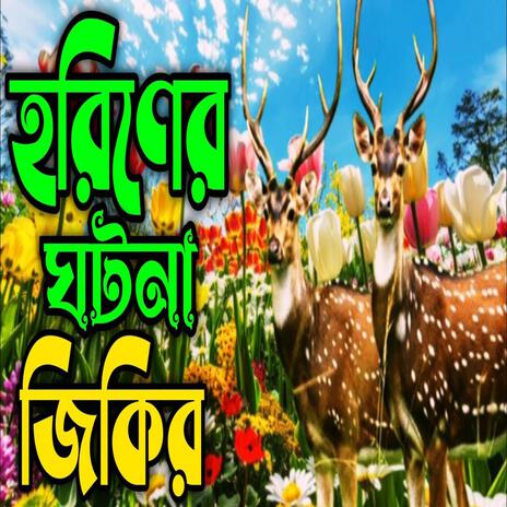 হরিণের ঘটনা জিকির ll দয়াল নবীর সাথে কি হয়েছিল করিনি জিকির ll কলিজা ঠান্ডা করা জিকির ll জিকির.. | Boomplay Music