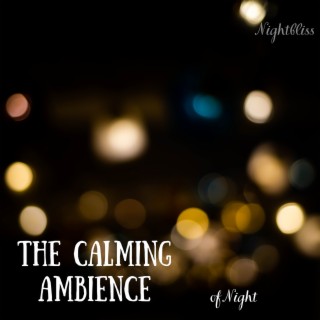 The Calming Ambience of Night