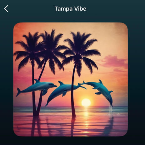 Tampa Vibe | Boomplay Music