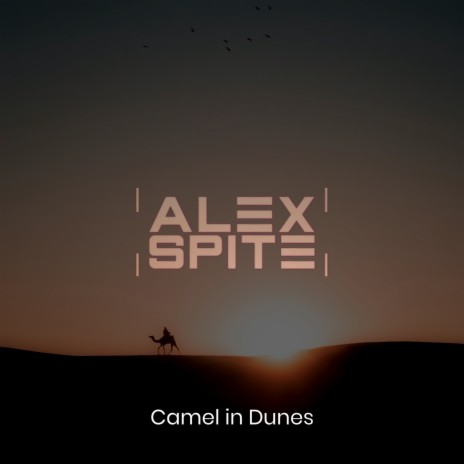 Camel in Dunes | Boomplay Music