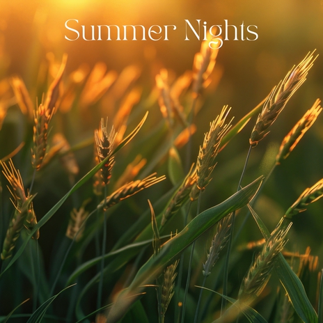 Summer Nights | Boomplay Music