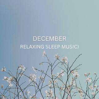 December Night (Relaxing Sleep Music)