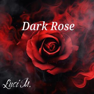 Dark Rose