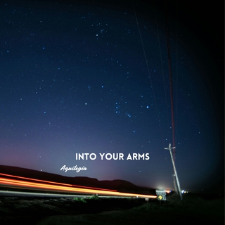 Into Your Arms