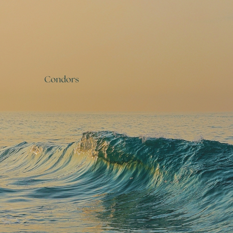 Condors | Boomplay Music