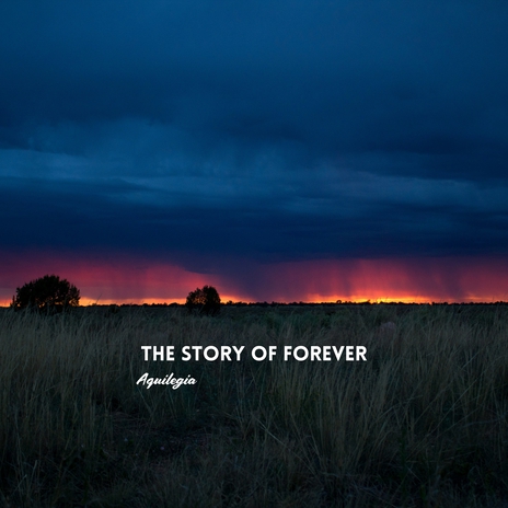 The Story of Forever | Boomplay Music