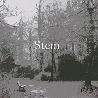 Stem ft. NJOYCE lyrics | Boomplay Music