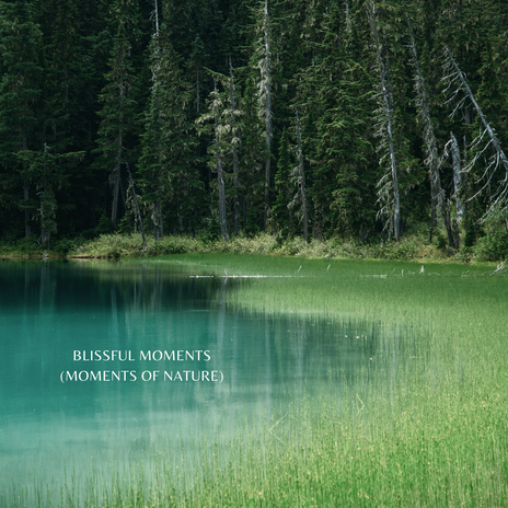 Blissful Moments (Moments of Nature) | Boomplay Music