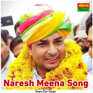 Naresh Meena Song