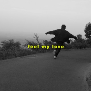 Feel My Love