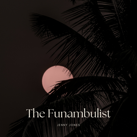 The Funambulist | Boomplay Music