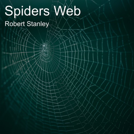 Spiders Web | Boomplay Music