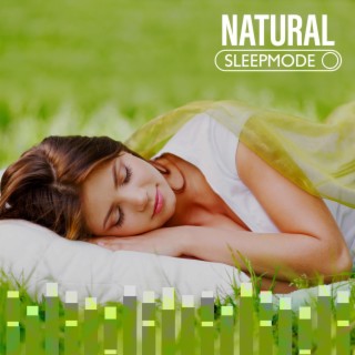 Natural Sleepmode: Dreamy Nature Remedies to Fall Into Deep Sleep