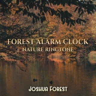 Forest Alarm Clock: Nature Ringtone – Singing Birds, Forest Sounds & Rain