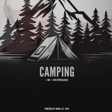 Why Are You Camping? | Boomplay Music