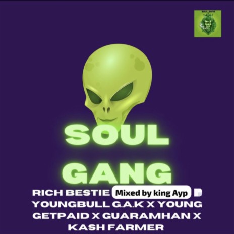 Soul Gang ft. Youngbull G.A.K, Young Get Paid, GuaraMhan & Kash farmer | Boomplay Music