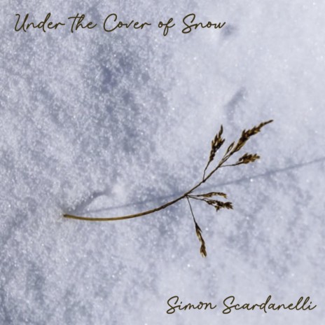 Under the Cover of Snow | Boomplay Music