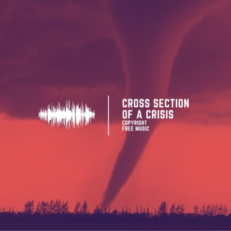 Cross Section Of A Crisis | Boomplay Music