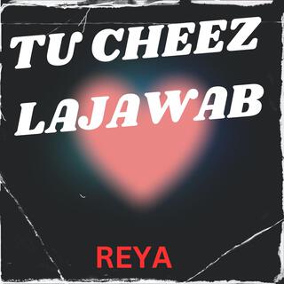 TU CHEEZ LAJAWAB