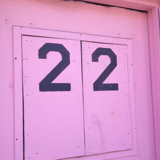 22