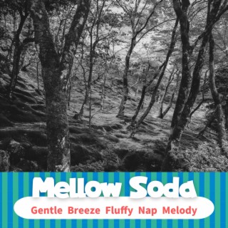 Gentle Breeze Fluffy Nap Melody