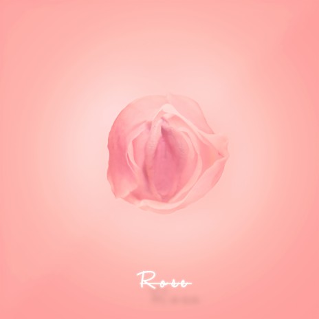 Rose | Boomplay Music