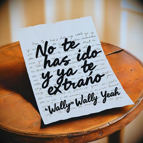 No te has ido y ya te extraño | Boomplay Music