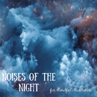 Noises of the Night for Mindful Meditation
