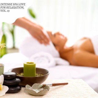 Intense Spa Love for Relaxation, Vol. 13