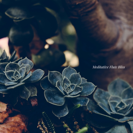 Meditative Flute Bliss | Boomplay Music