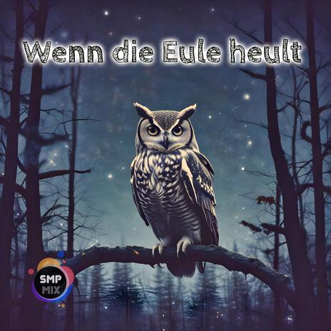 Wenn die Eule heult | Boomplay Music