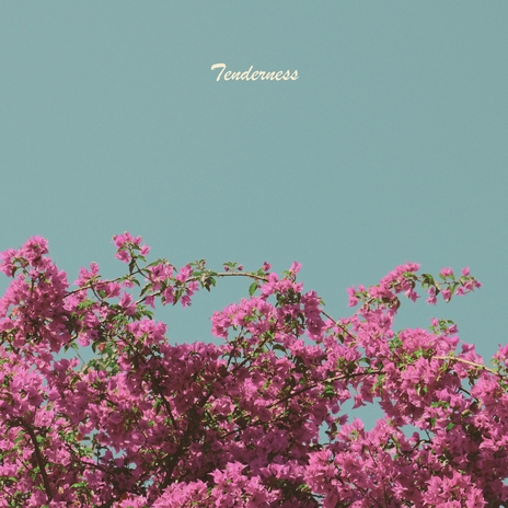 Tenderness | Boomplay Music