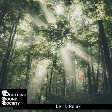 Music for Relaxation and Meditation | Boomplay Music