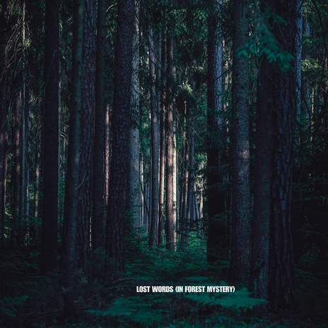 Lost Words (In Forest Mystery) | Boomplay Music