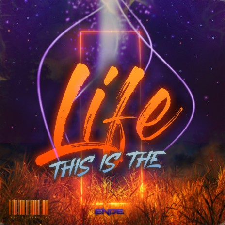 This Is the Life | Boomplay Music