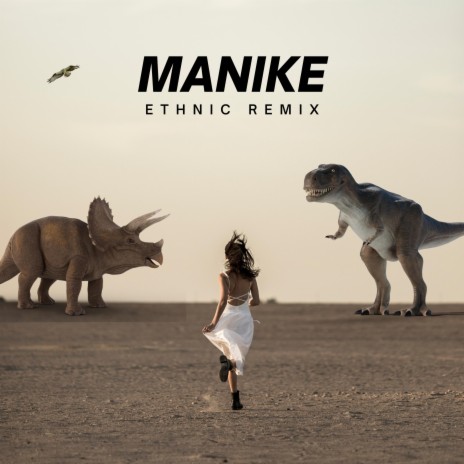 Manike (Ethnic Remix) | Boomplay Music