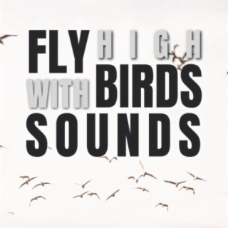 Bird Songs