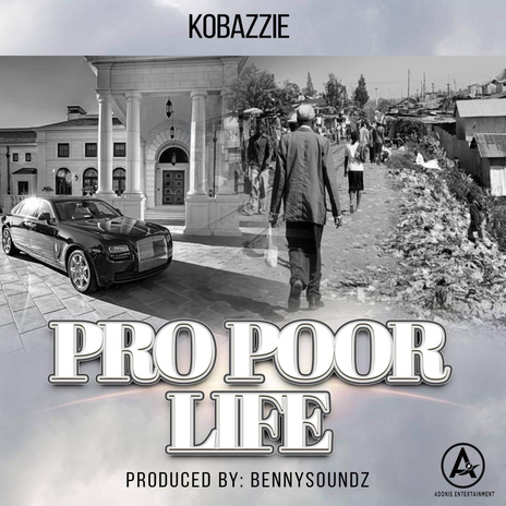 Pro Poor LIfe | Boomplay Music