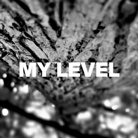 My level