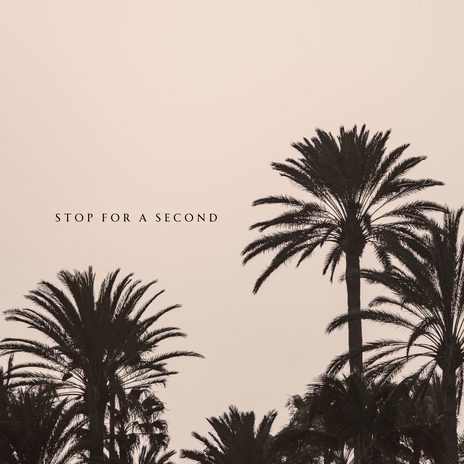 stop for a second | Boomplay Music