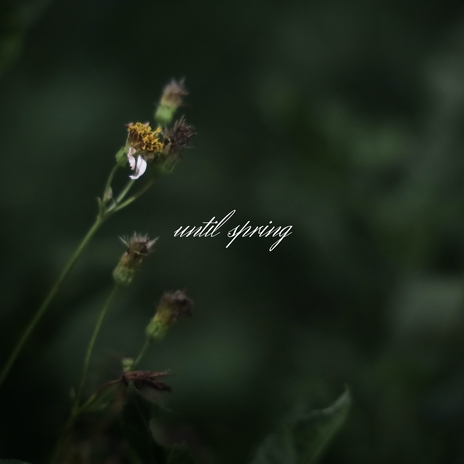 Until Spring | Boomplay Music