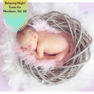 Relaxing Night Tunes for Newborn, Vol. 06