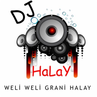 Weli Weli Kürtçe Müzik